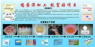 洞悉食品飲料行業(yè)新機(jī)遇 精準(zhǔn)求購與技術(shù)轉(zhuǎn)讓的策略指南